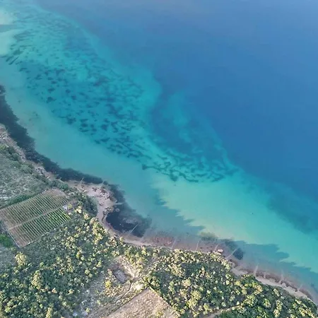 Apartament Barbat 11 *